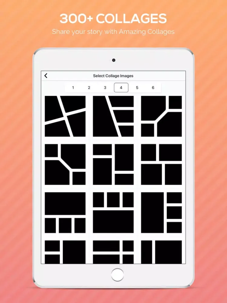 Ảnh chụp màn hình của PIPSCOL INSTA MAKER iPad 