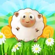 Green Land of Sheep Green Land of Sheep