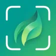 Plant Scan Plant Scan
