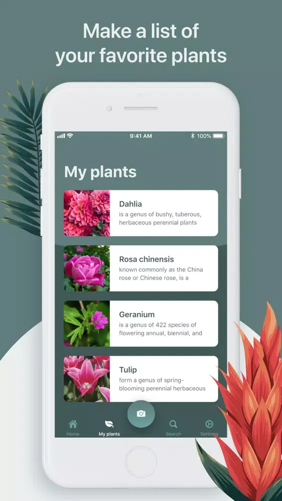 Ảnh chụp màn hình của Plant Scan