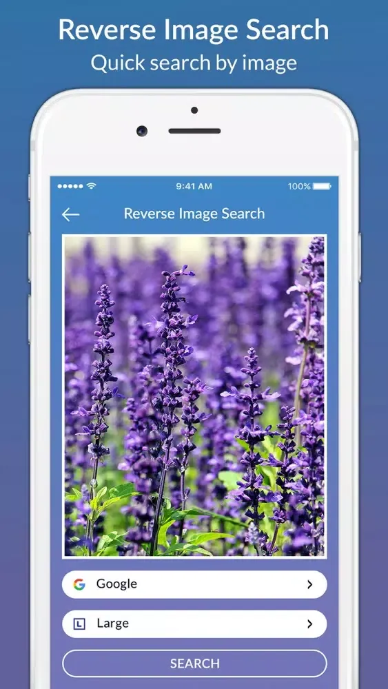 Ảnh chụp màn hình của Search with Image or Picture