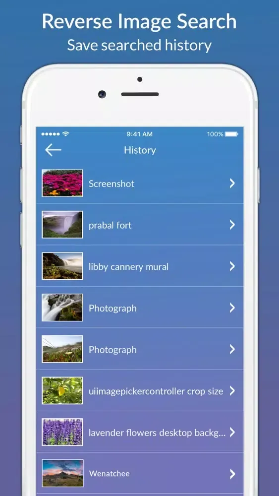 Ảnh chụp màn hình của Search with Image or Picture