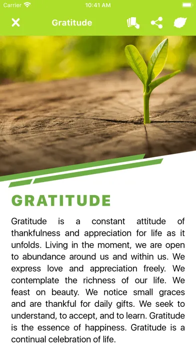 صور ShareTree