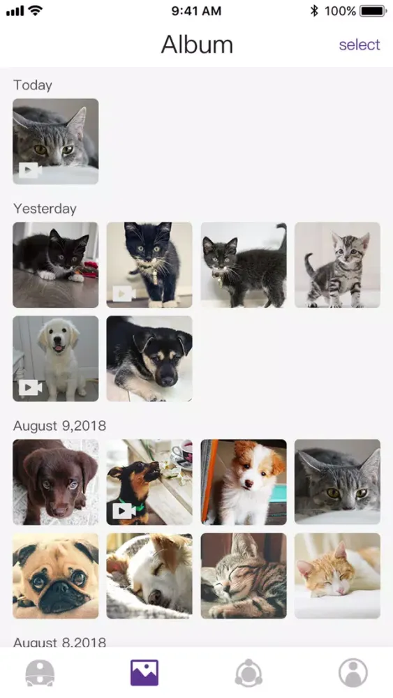 صور VAVA Pet Cam