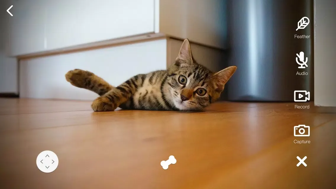 صور VAVA Pet Cam