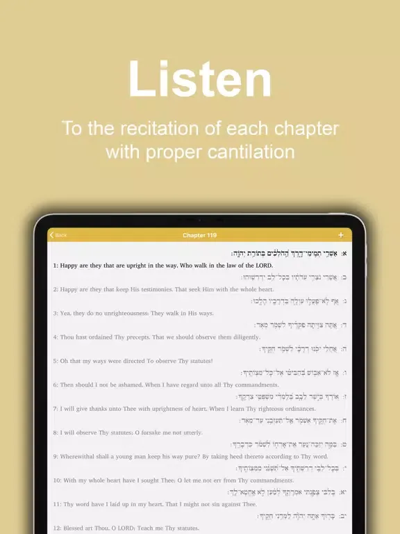 Captures d'écran de Tehillim: VaYavinu BaMikra iPad 