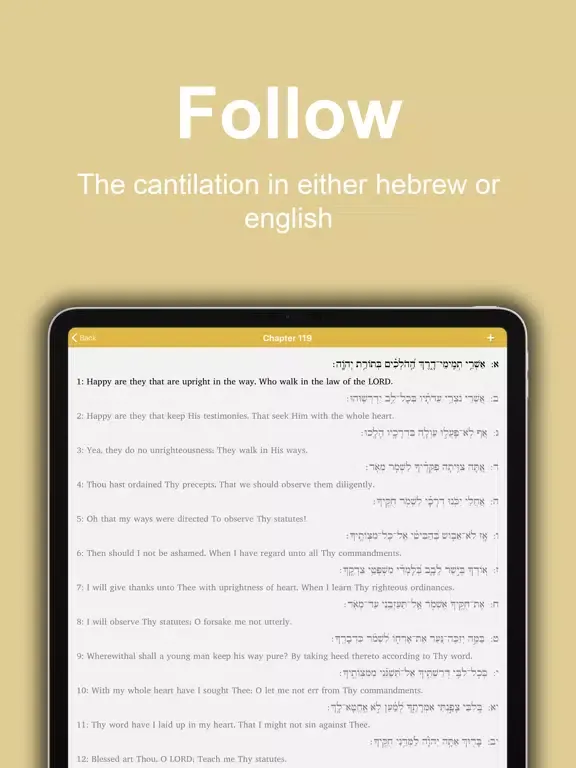 Captures d'écran de Tehillim: VaYavinu BaMikra iPad 