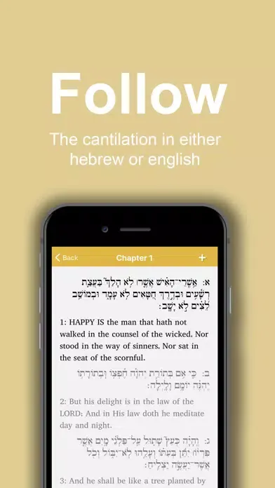 Captures d'écran de Tehillim: VaYavinu BaMikra