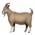 Monty Hall 2