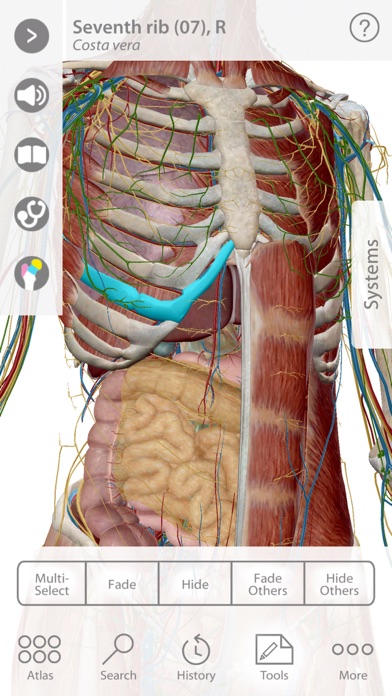 For Organizations - 2016 Human Anatomy Atlas应用截图