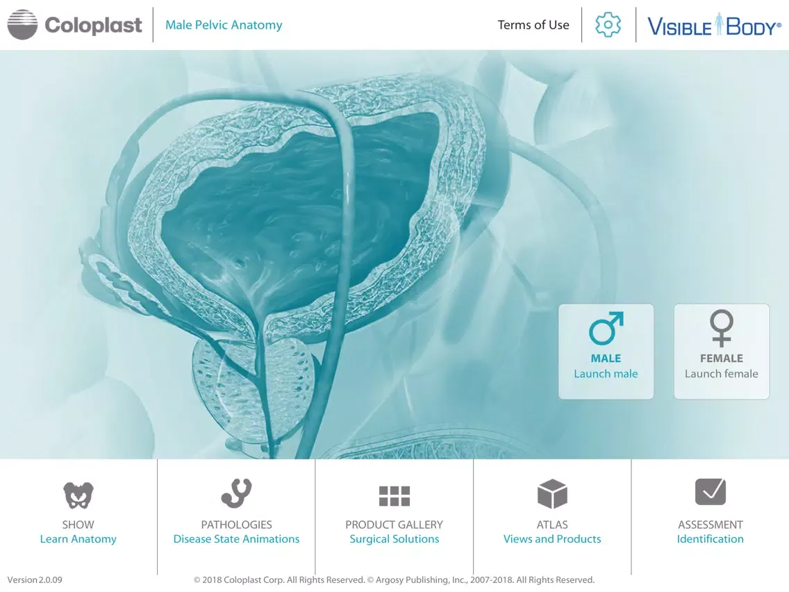 Tangkapan layar Pelvic Anatomy for Coloplast iPad 