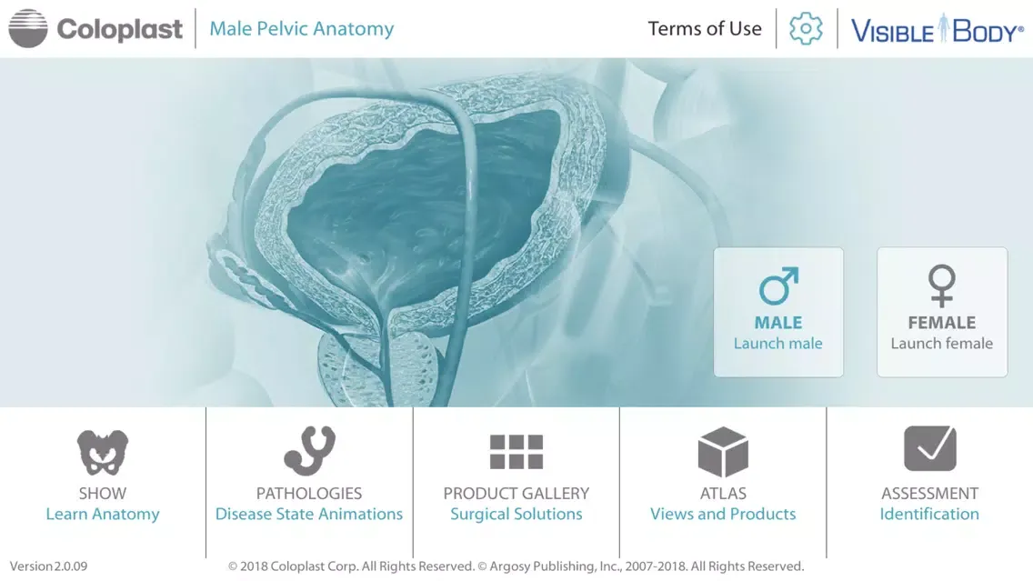 Tangkapan layar Pelvic Anatomy for Coloplast