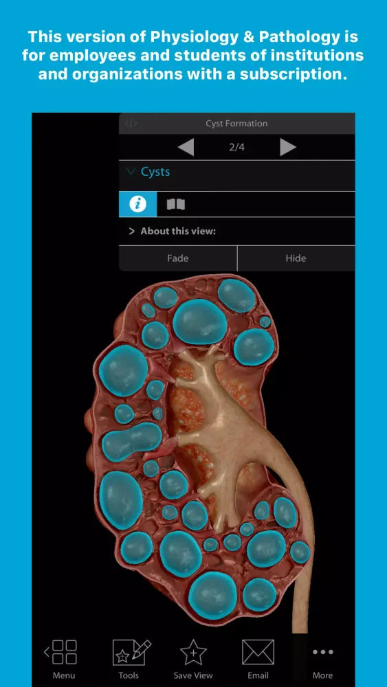P&P Subscription Screenshots