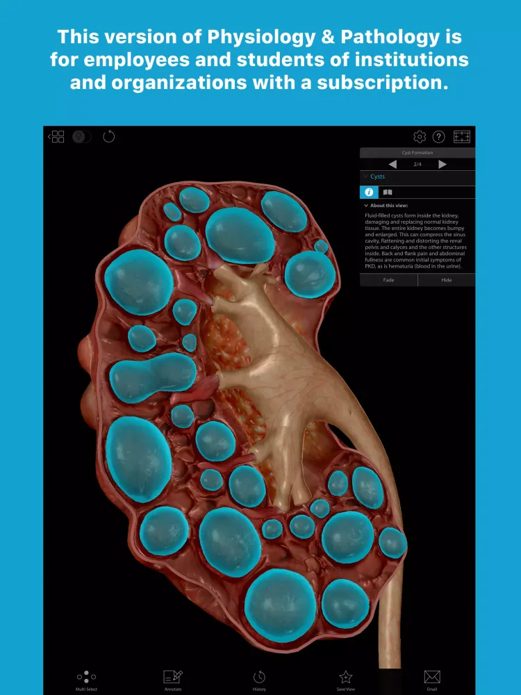 P&P Subscription Screenshots