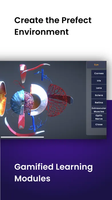 تصاویر Real Immerse