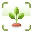 Plant Identifier: Reminder