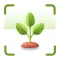Plant Identifier: Reminder