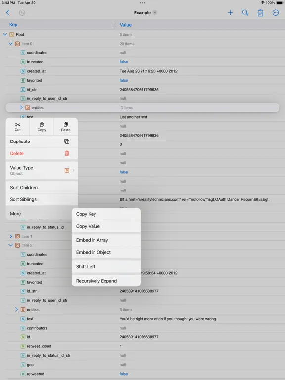 JSON Editor Mobile iPad  স্ক্রিনশট
