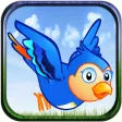 Bird Control - Wings And Fly! Bird Control - Wings And Fly!