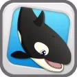 Killer Whale - Enter Orca's Trail Paradise Killer Whale - Enter Orca's Trail Paradise