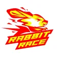 Rabbit Race 1 Rabbit Race 1