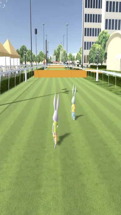 Rabbit Race 1 স্ক্রিনশট