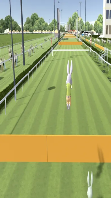Rabbit Race 1 স্ক্রিনশট