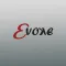 Evoke Pesquisas