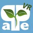 apeAPP VR