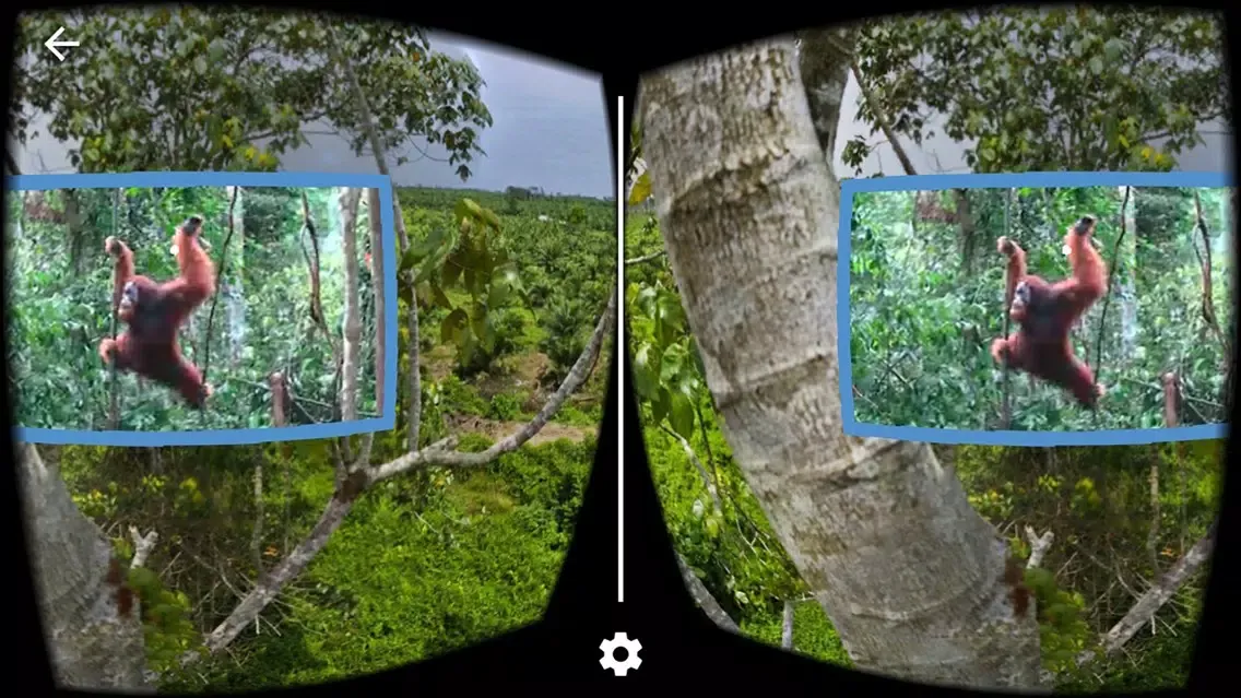 apeAPP VR स्क्रीनशॉट