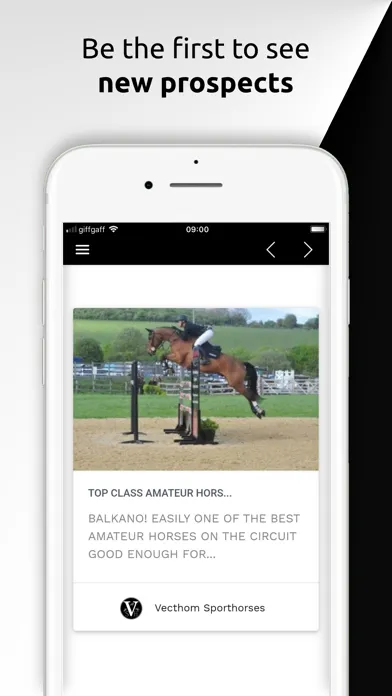 ภาพหน้าจอของ Vecthom Sporthorses