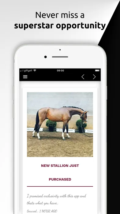 ภาพหน้าจอของ Vecthom Sporthorses