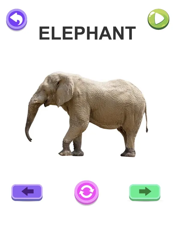 ABC Words - Spelling & Phonics iPad  Screenshots