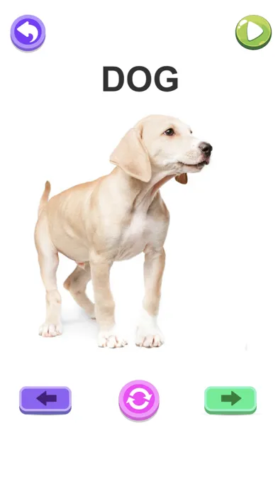 ABC Words - Spelling & Phonics Screenshots