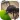 Idle Ant War