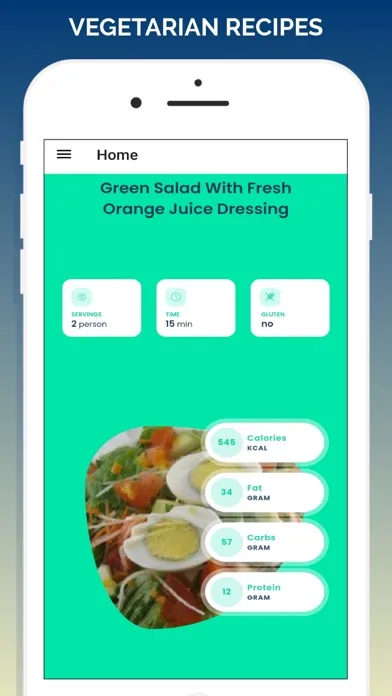Vegetarian Recipes Healthy স্ক্রিনশট