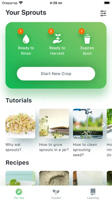 Capturas de tela do The Sprouting Company