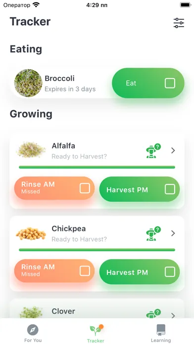 Capturas de tela do The Sprouting Company