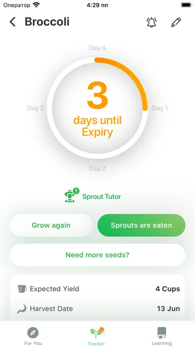 Capturas de tela do The Sprouting Company