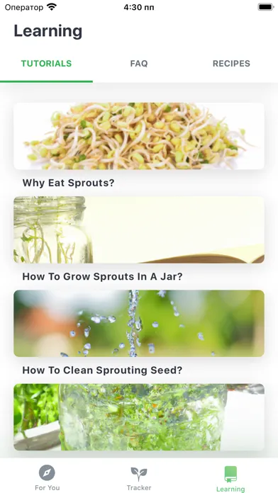 Capturas de tela do The Sprouting Company