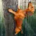 Wild Wiener!