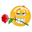 Love Stickers Emoji