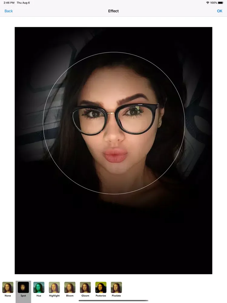 Скриншоты Photofy - Picture Image Editor iPad 