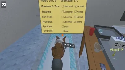 ภาพหน้าจอของ Virtual Essential Newborn Care