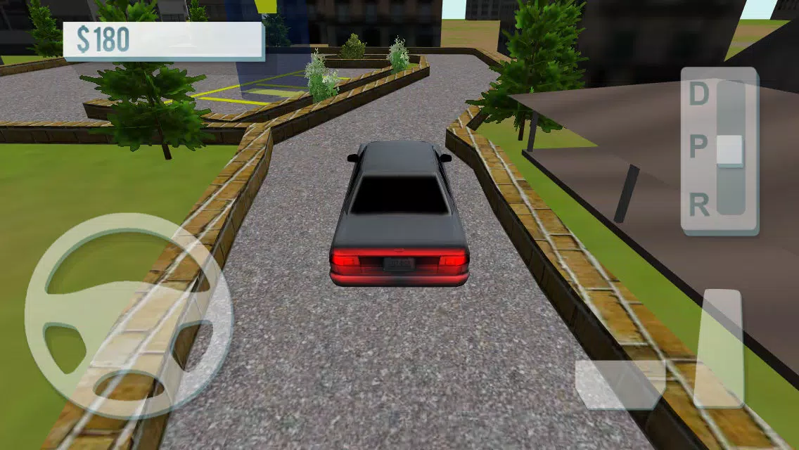 Ultimate Parking 3D应用截图