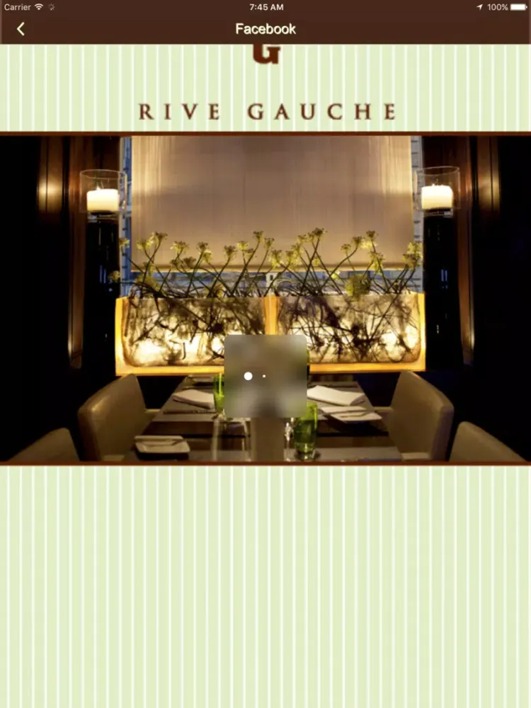 تصاویر Rive Gauche iPad 
