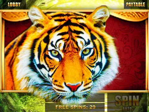 Slots: Realm of Magic iPad  Screenshots