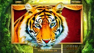 Slots: Realm of Magic Screenshots