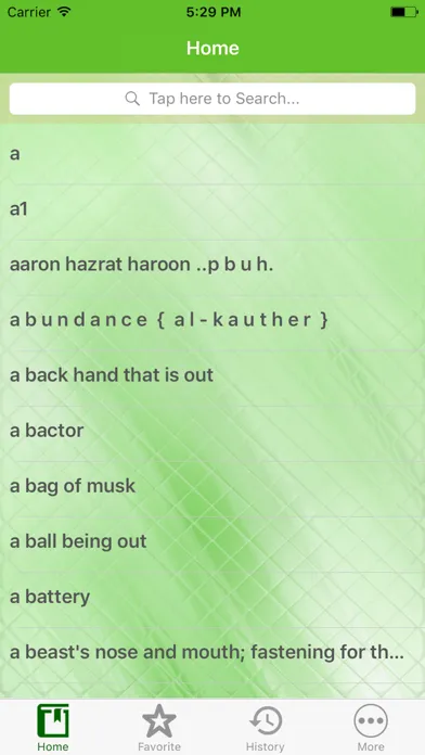 English to Urdu Offline Dictionary App Screenshots