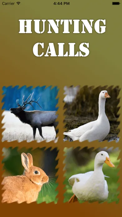 Capturas de tela do Hunting Calls 2016